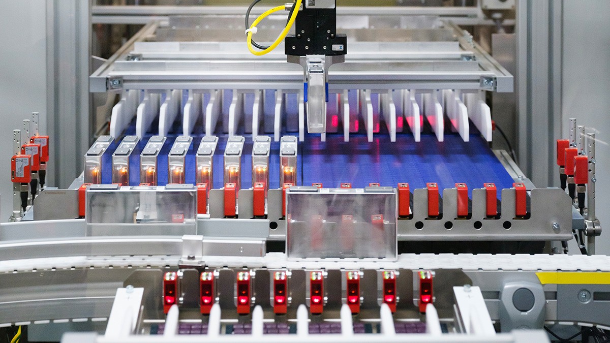 Insight into the cell coating process sequence